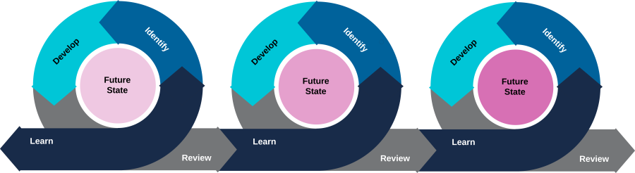 SIS Process Design Workshop Loop Cycle